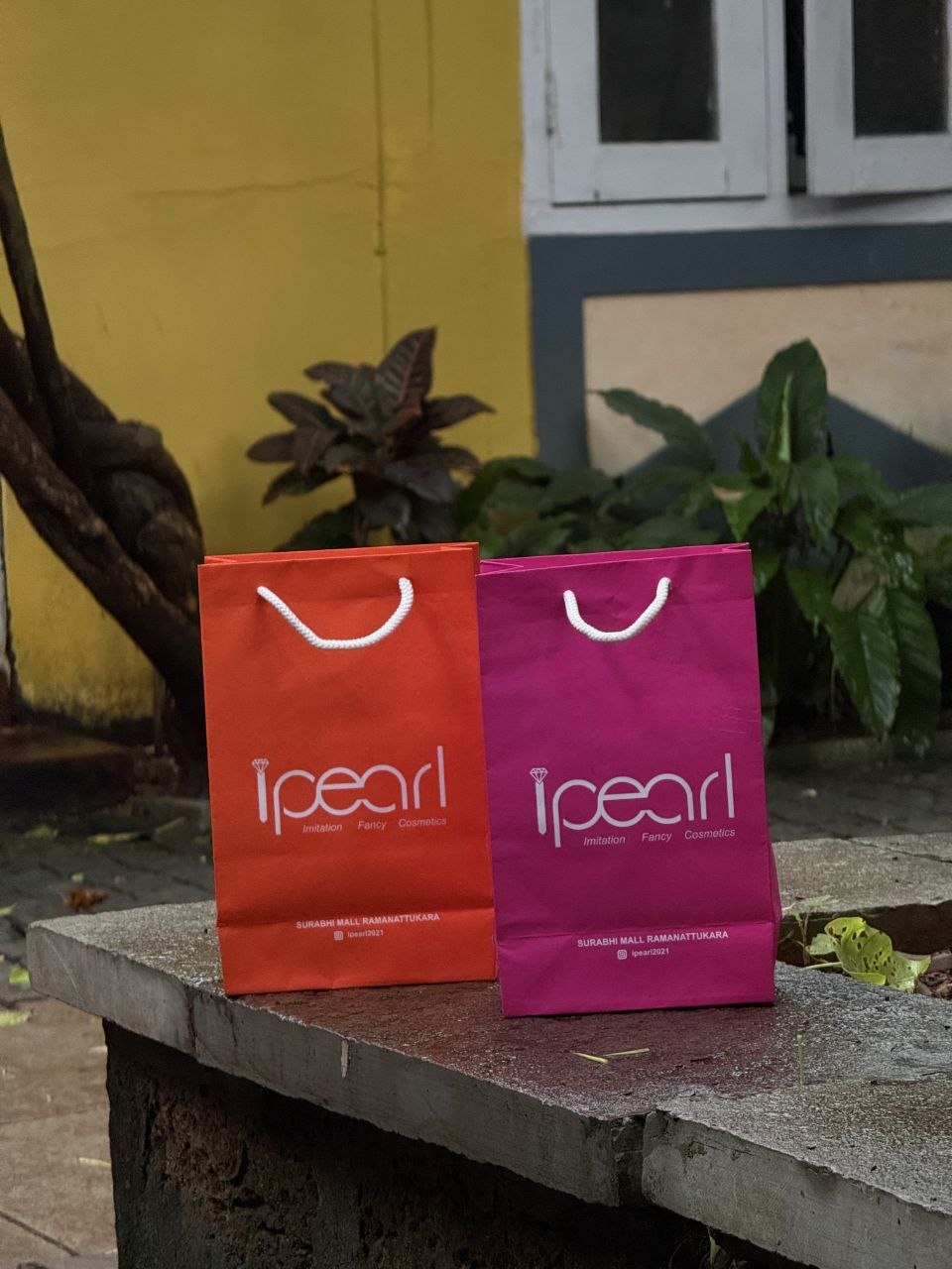 Fancy and designer Paper Bags with premium handles