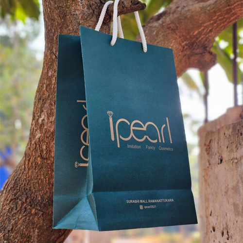 Fancy Paper Bags design 6 by Made Products Kerala