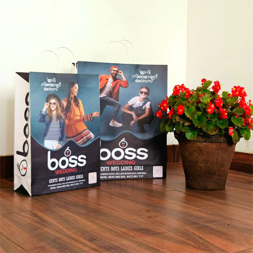 Textile Paper Bags design 1 by Made Products Kerala